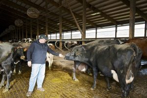 Pure milk begins with healthy cows