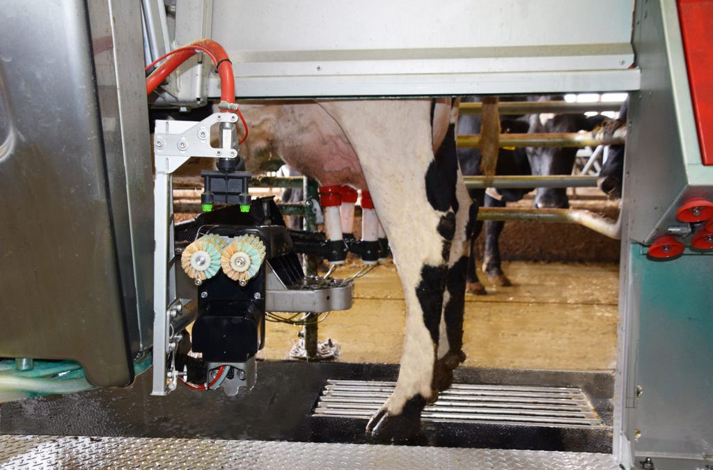 Robotic milkers: round two